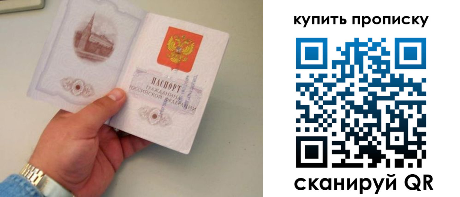прописка для работы в Ленинградской области